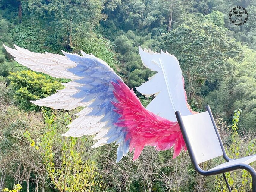 翠墨莊園，桃園復興鄉大溪景點，日式鳥居/熱氣球/飛天翅膀，IG打卡景點，寵物 - Cyndi loves享食天堂