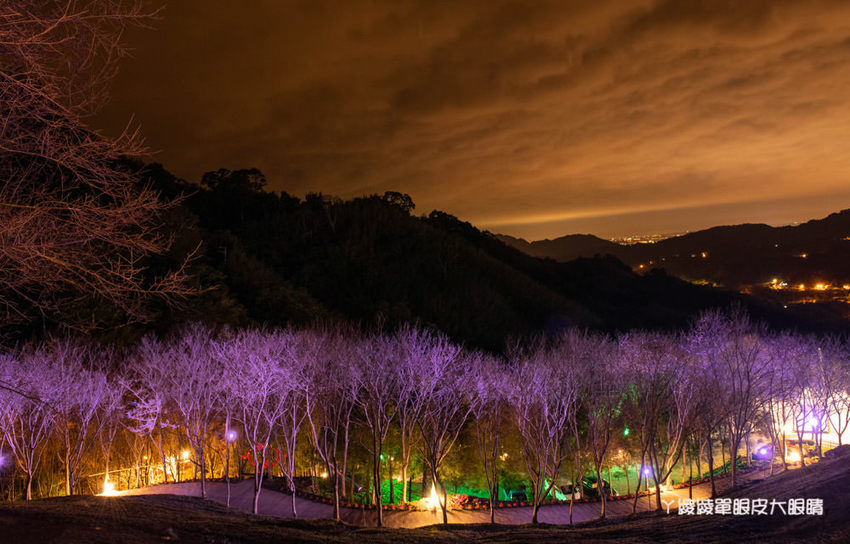 桃園旅遊景點推薦翠墨莊園！粉嫩櫻花林步道浪漫登場，期間限定和服體驗！入園還可以抽iPhone11