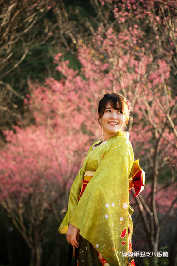 桃園旅遊景點推薦翠墨莊園！粉嫩櫻花林步道浪漫登場，期間限定和服體驗！入園還可以抽iPhone11