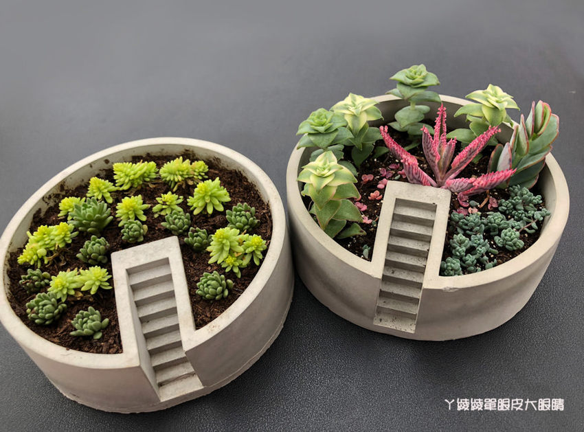 桃園旅遊景點推薦翠墨莊園！粉嫩櫻花林步道浪漫登場，期間限定和服體驗！入園還可以抽iPhone11