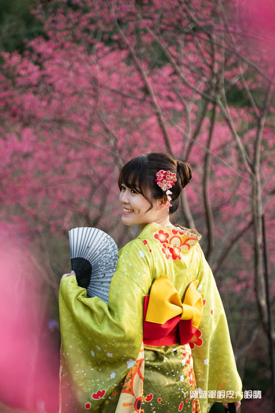 桃園旅遊景點推薦翠墨莊園！粉嫩櫻花林步道浪漫登場，期間限定和服體驗！入園還可以抽iPhone11