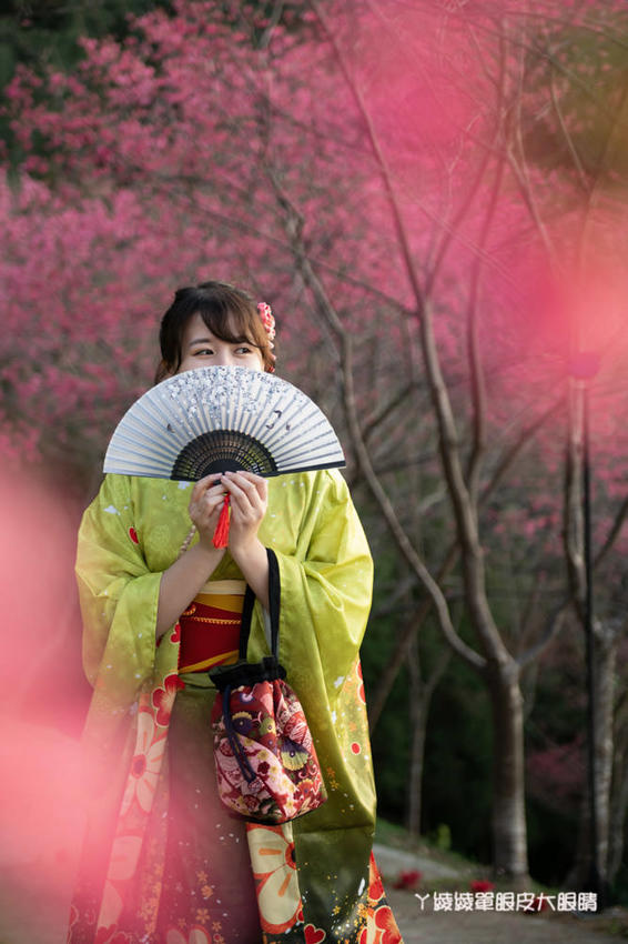 桃園旅遊景點推薦翠墨莊園！粉嫩櫻花林步道浪漫登場，期間限定和服體驗！入園還可以抽iPhone11