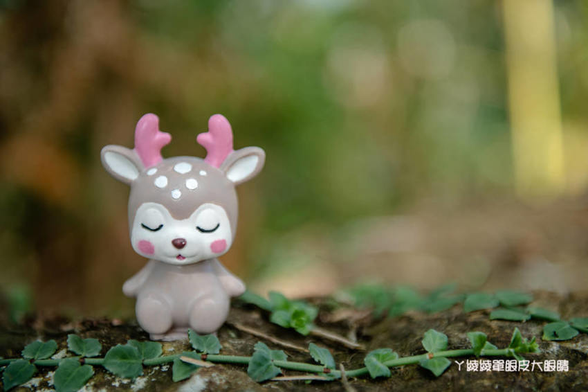 桃園旅遊景點推薦翠墨莊園！粉嫩櫻花林步道浪漫登場，期間限定和服體驗！入園還可以抽iPhone11