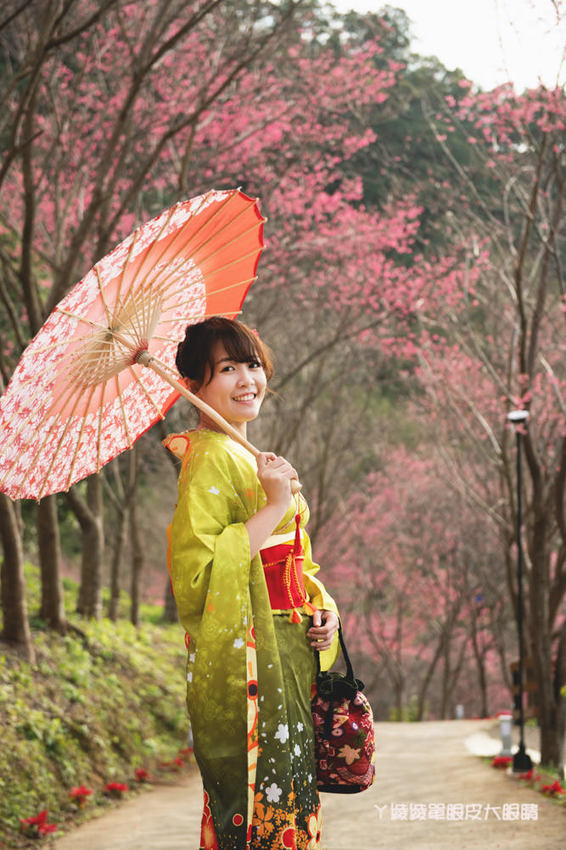 桃園旅遊景點推薦翠墨莊園！粉嫩櫻花林步道浪漫登場，期間限定和服體驗！入園還可以抽iPhone11