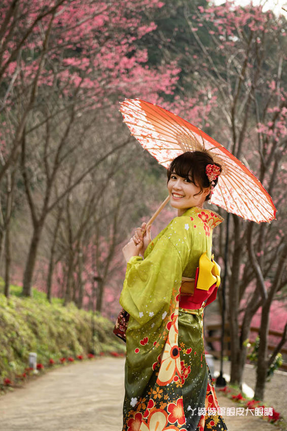 桃園旅遊景點推薦翠墨莊園！粉嫩櫻花林步道浪漫登場，期間限定和服體驗！入園還可以抽iPhone11