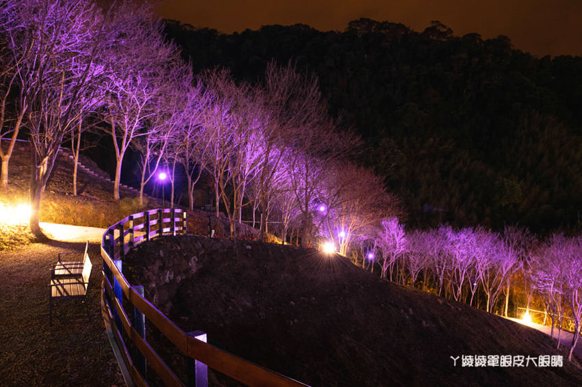 桃園旅遊景點推薦翠墨莊園！粉嫩櫻花林步道浪漫登場，期間限定和服體驗！入園還可以抽iPhone11