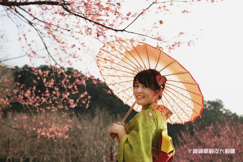 桃園旅遊景點推薦翠墨莊園！粉嫩櫻花林步道浪漫登場，期間限定和服體驗！入園還可以抽iPhone11