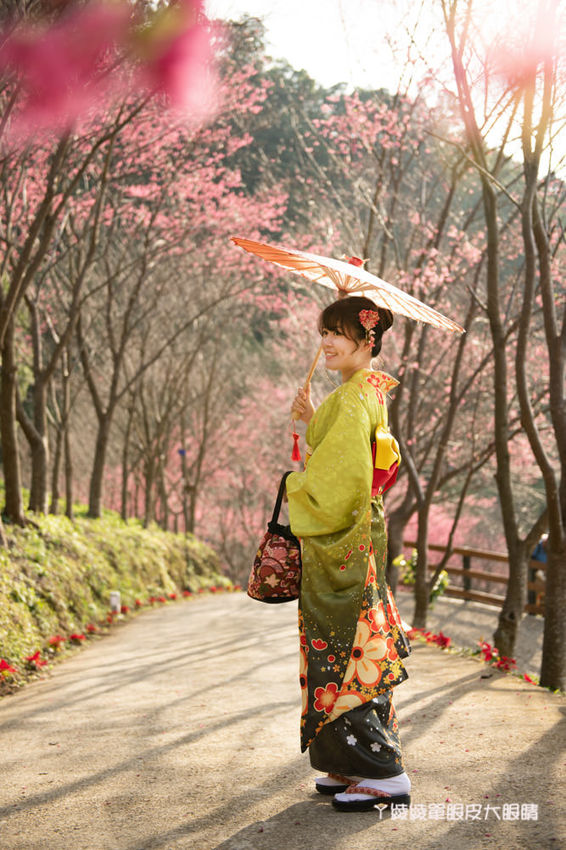 桃園旅遊景點推薦翠墨莊園！粉嫩櫻花林步道浪漫登場，期間限定和服體驗！入園還可以抽iPhone11