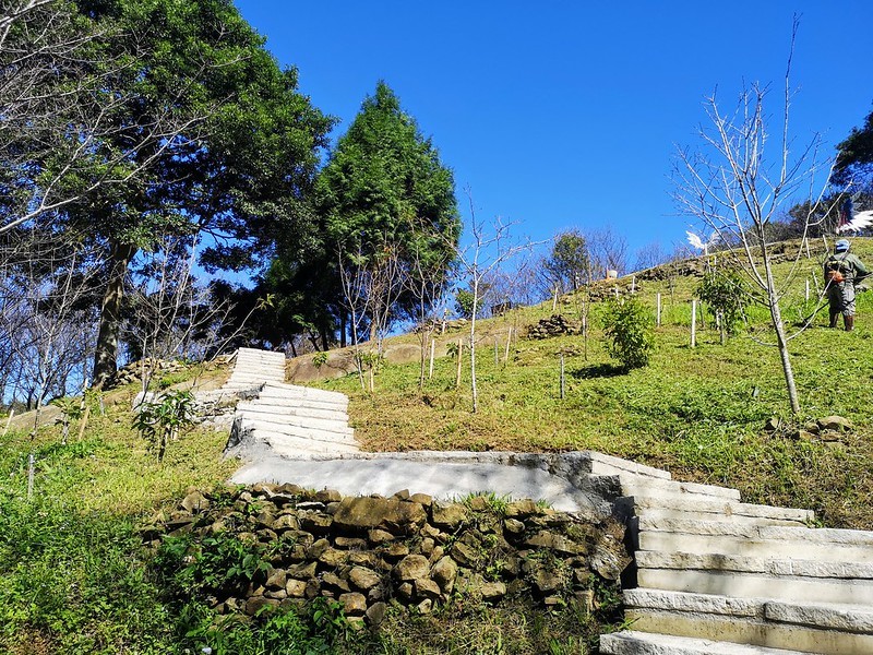 IMG_20201123_111351~2