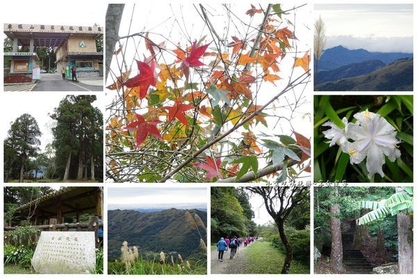 東眼山國家森林遊樂區.jpg 東眼山國家森林遊樂區.jpg