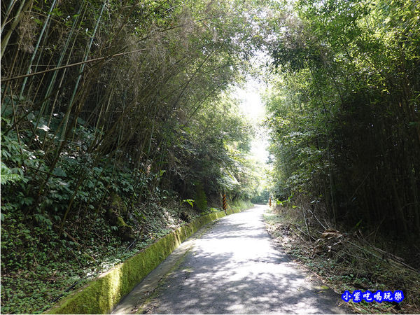 基國派路520巷會車不易 (2).jpg 基國派路520巷會車不易 (2).jpg