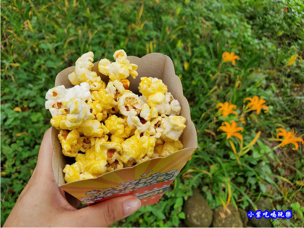 爆米花-翠墨莊園44.jpg 爆米花-翠墨莊園44.jpg