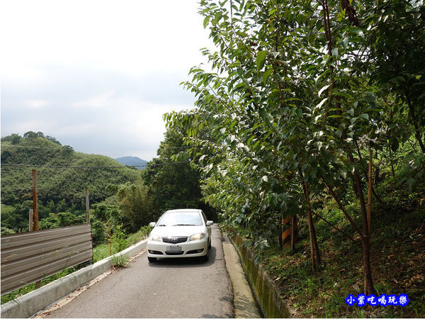 基國派路520巷會車不易 (1).jpg 基國派路520巷會車不易 (1).jpg