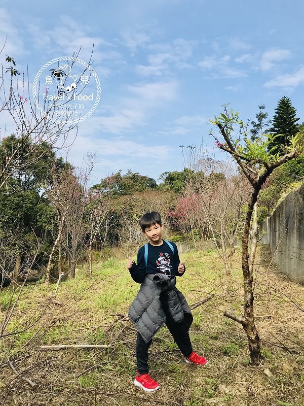 春天農場午餐逍遙遊,關公嶺北天宮步道漫活賞櫻趣(2/2花況) @魚兒 x 牽手明太子的「視」界旅行 春天農場午餐逍遙遊,關公嶺北天宮步道漫活賞櫻趣(2/2花況) @魚兒 x 牽手明太子的「視」界旅行