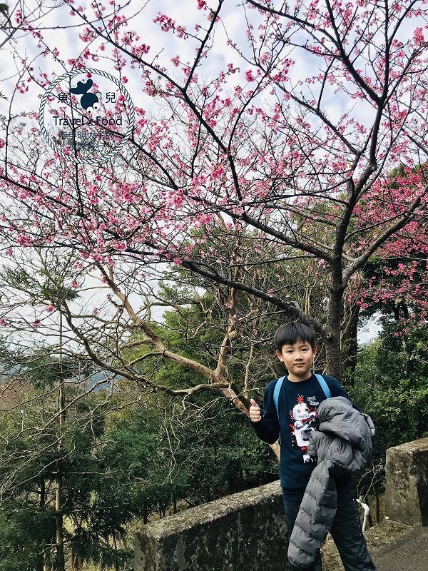 春天農場午餐逍遙遊,關公嶺北天宮步道漫活賞櫻趣(2/2花況) @魚兒 x 牽手明太子的「視」界旅行 春天農場午餐逍遙遊,關公嶺北天宮步道漫活賞櫻趣(2/2花況) @魚兒 x 牽手明太子的「視」界旅行