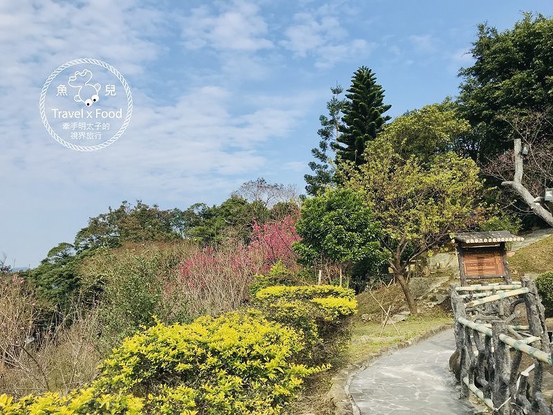 春天農場午餐逍遙遊,關公嶺北天宮步道漫活賞櫻趣(2/2花況) @魚兒 x 牽手明太子的「視」界旅行 春天農場午餐逍遙遊,關公嶺北天宮步道漫活賞櫻趣(2/2花況) @魚兒 x 牽手明太子的「視」界旅行