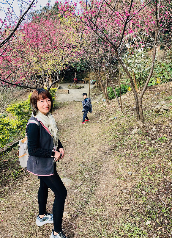 春天農場午餐逍遙遊,關公嶺北天宮步道漫活賞櫻趣(2/2花況) @魚兒 x 牽手明太子的「視」界旅行 春天農場午餐逍遙遊,關公嶺北天宮步道漫活賞櫻趣(2/2花況) @魚兒 x 牽手明太子的「視」界旅行