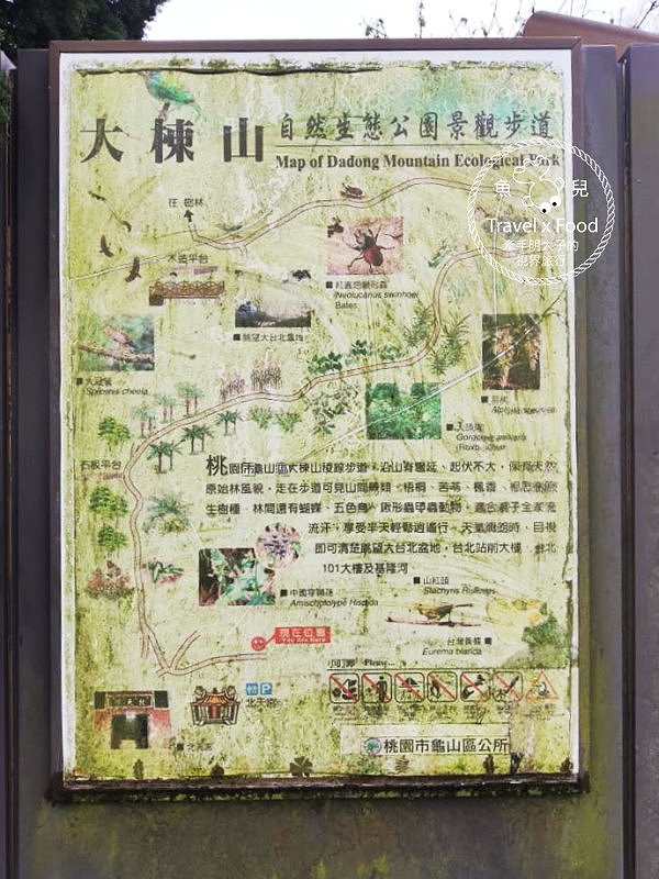 春天農場午餐逍遙遊,關公嶺北天宮步道漫活賞櫻趣(2/2花況) @魚兒 x 牽手明太子的「視」界旅行 春天農場午餐逍遙遊,關公嶺北天宮步道漫活賞櫻趣(2/2花況) @魚兒 x 牽手明太子的「視」界旅行