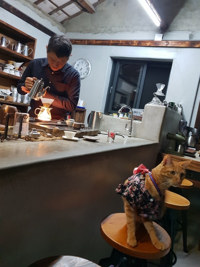 225294.jpg - 【南投.埔里】全台最獨特咖啡店。友善寵物。Coffee Reflections OLD工作室採預約制