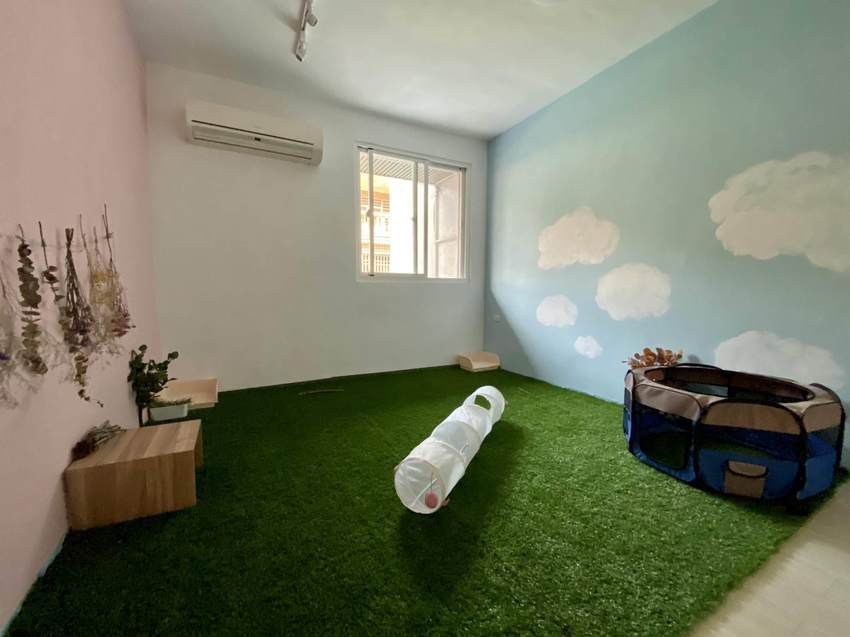 【三恆一曙】桃園中壢區新開幕兔兔友善咖啡廳,二樓有兔兔專屬跑跑區!