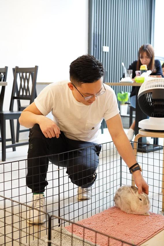 【三恆一曙】桃園中壢區新開幕兔兔友善咖啡廳,二樓有兔兔專屬跑跑區!