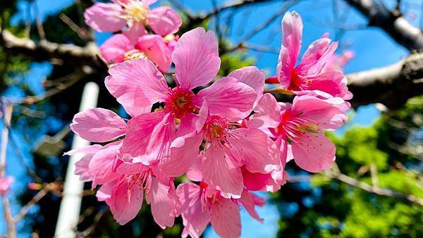 IMG_6446.jpg IMG_6446.jpg