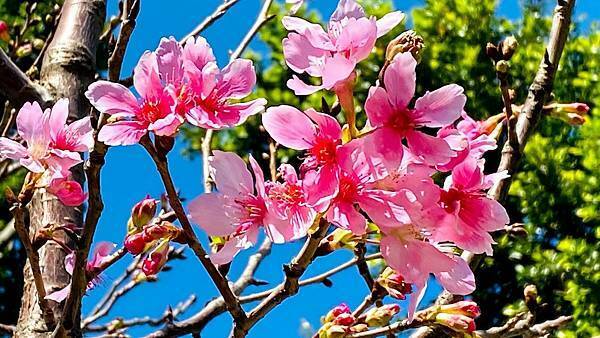 IMG_6448.jpg IMG_6448.jpg