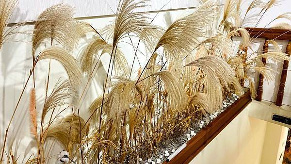 IMG_6376.jpg IMG_6376.jpg