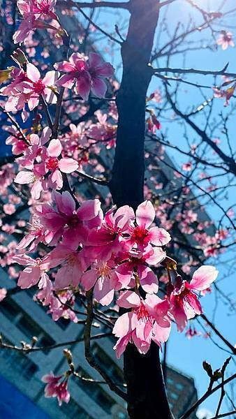 IMG_6450.jpg IMG_6450.jpg