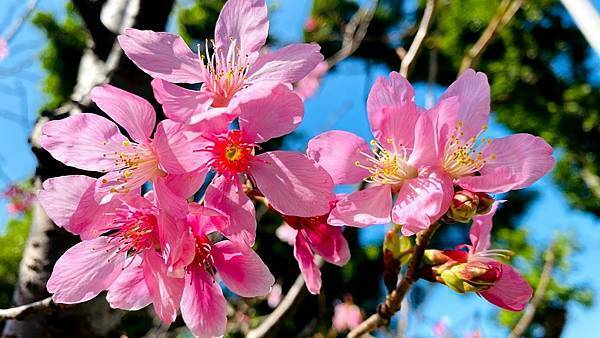 IMG_6447.jpg IMG_6447.jpg