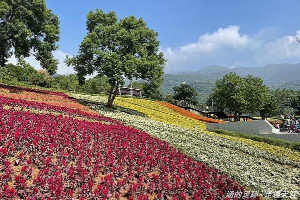 IMG_1934.jpg IMG_1934.jpg