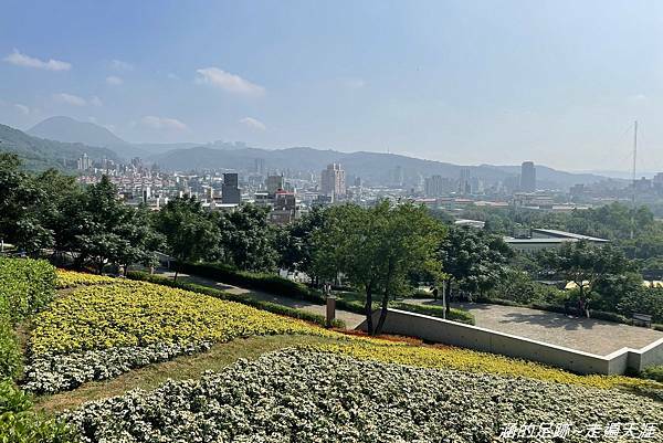 IMG_1960.jpg IMG_1960.jpg