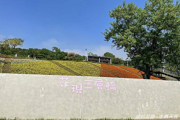 IMG_1929.jpg IMG_1929.jpg