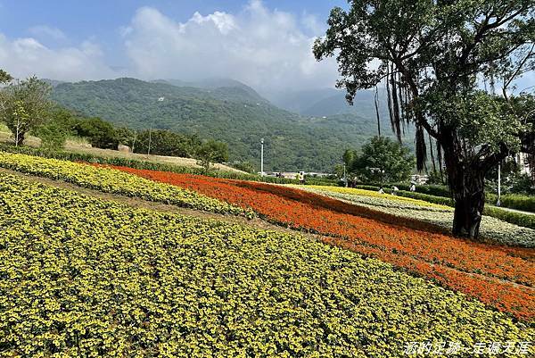 IMG_1971.jpg IMG_1971.jpg