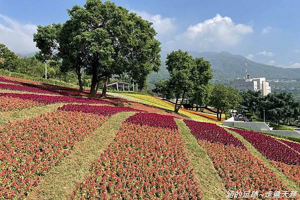 IMG_1941.jpg IMG_1941.jpg