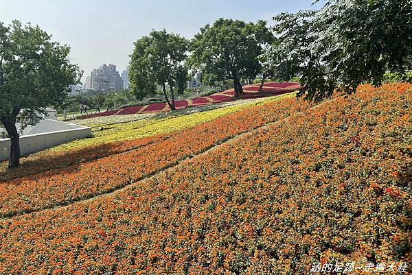 IMG_1969.jpg IMG_1969.jpg