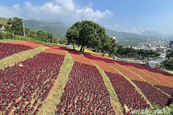 IMG_1948.jpg IMG_1948.jpg