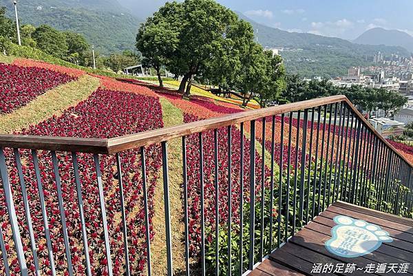 IMG_1946.jpg IMG_1946.jpg