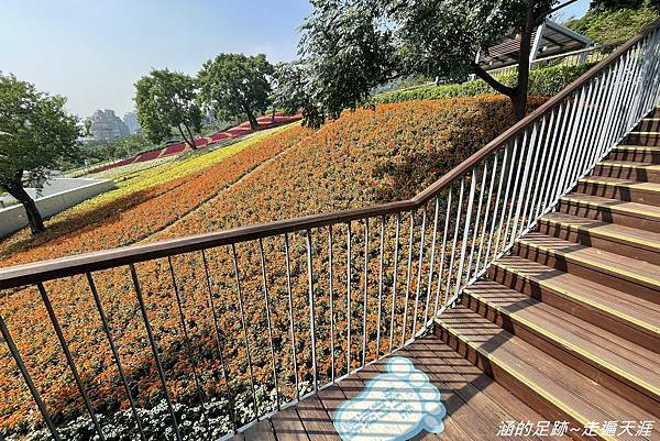 IMG_1966.jpg IMG_1966.jpg