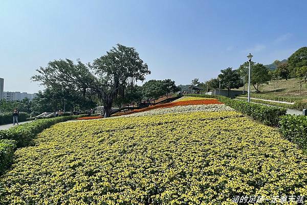 IMG_1979.jpg IMG_1979.jpg