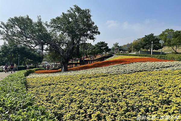 IMG_1974.jpg IMG_1974.jpg