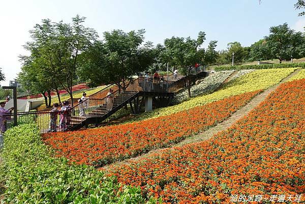 DSC09811.jpg DSC09811.jpg