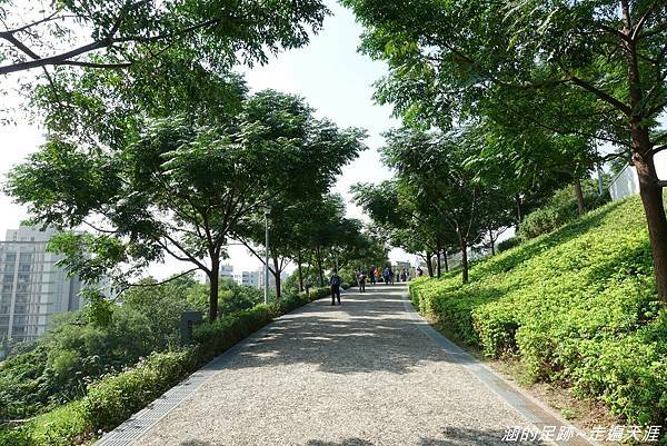 DSC09733.jpg DSC09733.jpg