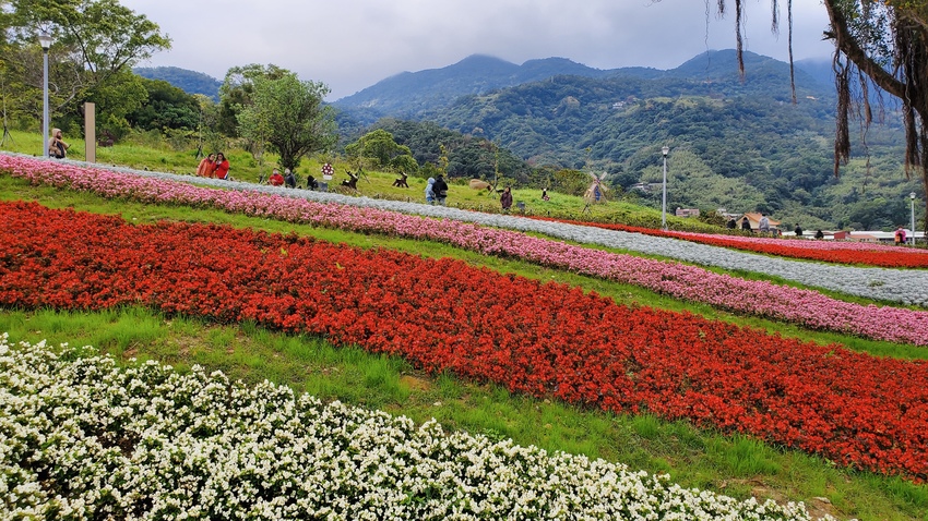 【飛與行的記憶】國內∣北投貴子坑台灣版本的小富良野