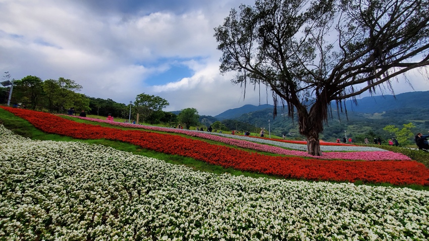 【飛與行的記憶】國內∣北投貴子坑台灣版本的小富良野