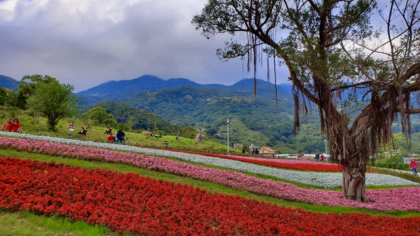 【飛與行的記憶】國內∣北投貴子坑台灣版本的小富良野
