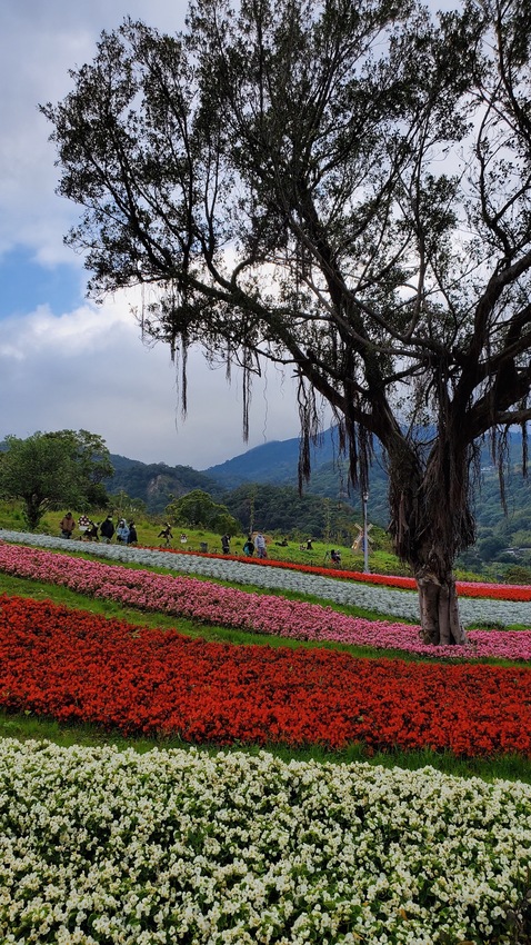 【飛與行的記憶】國內∣北投貴子坑台灣版本的小富良野