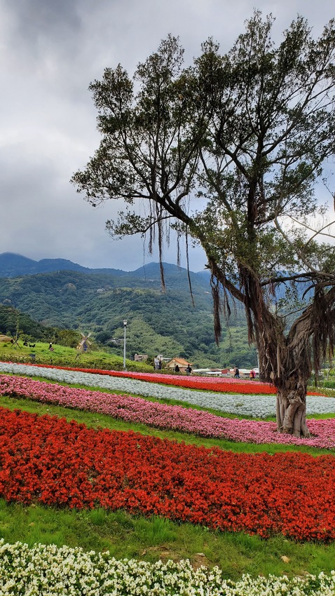 【飛與行的記憶】國內∣北投貴子坑台灣版本的小富良野