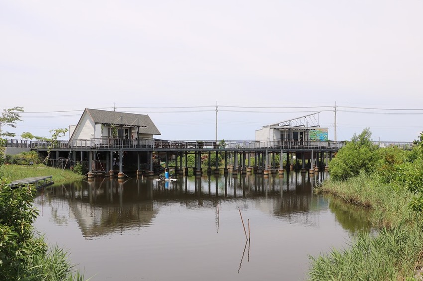 屏東林邊一日遊。光采濕地，環境教育、DIY披薩、植物染敲敲樂、鹹鴨蛋、林邊最美藍晒圖 x 林邊單車遊