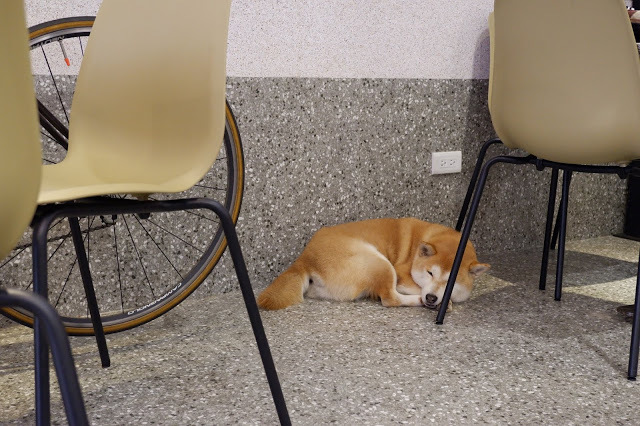 嗨~仁將Caffe TERRY